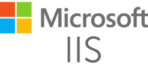 Microsoft IIS Server CIS Assessment